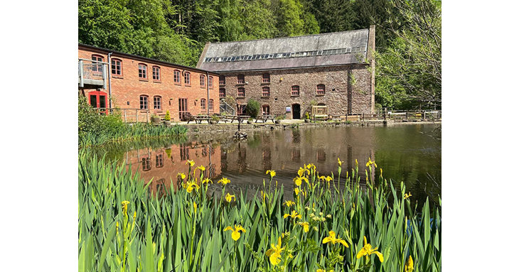 From free daily activities such as nature inspired crafts to a themed trail, explore everything that the Dean Heritage Centre has to offer this Easter.